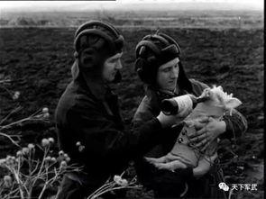 苏联科学家爆料视频播放,震撼视频背后的惊人真相  第3张